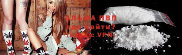 эйфоретик Бородино