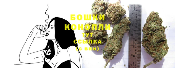 спиды Тавда
