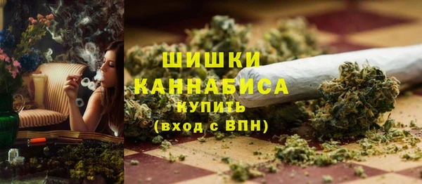 спиды Тавда
