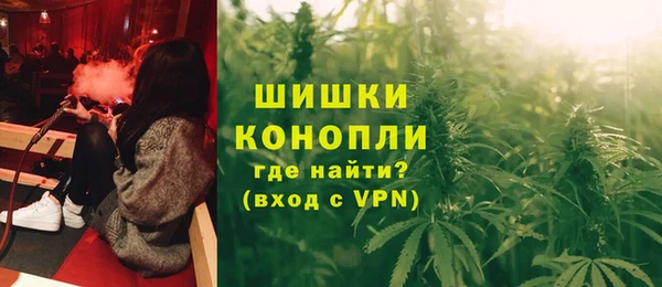 эйфоретик Бородино