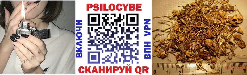 Галлюциногенные грибы Cubensis  Тавда 